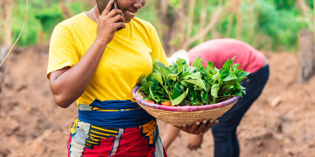 Farm to Feed is selected as one of ten Africa-based start-ups by Catalyst Fund (managed by BFA Global). We are very excited to work with Catalyst Fund team to further build and scale our impact!