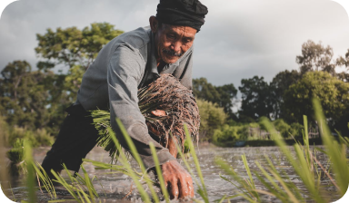 Watch the highlights from the SPTA Day in Berlin. Farm to Feed was incredibly honored to be given the opportunity to speak about our solution at the Strategic Partnership Technology in Africa (SPTA). SPTA brings together the technological know-how of private companies with the expertise of international cooperation to promote the potential of innovative technologies across the African continent.